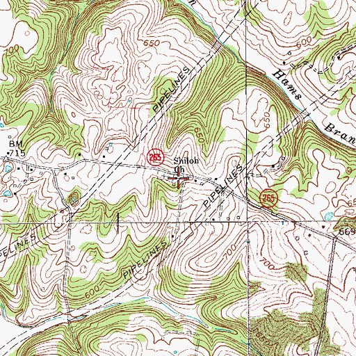 Topographic Map of Shiloh Church, KY