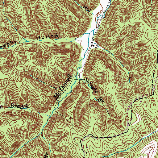 Topographic Map of Shingle Branch, KY