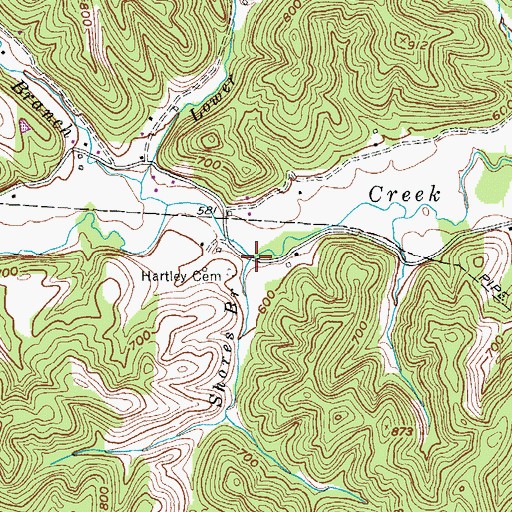 Topographic Map of Shores Branch, KY