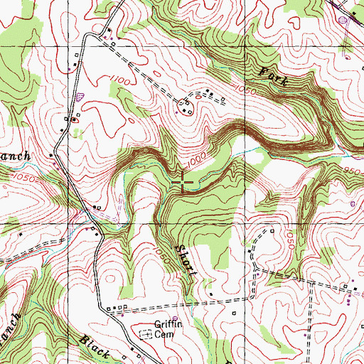 Topographic Map of Short Branch, KY
