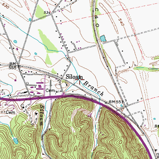 Topographic Map of Siloam Branch, KY