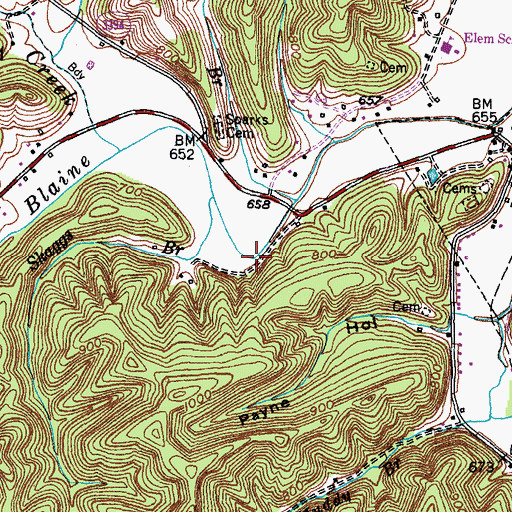 Topographic Map of Skaggs Branch, KY