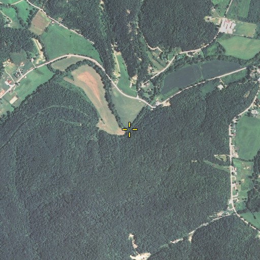 Aerial/Satellite Image of Skaggs Branch, KY