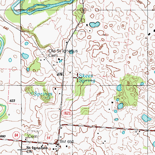 Topographic Map of Skees Spring (historical), KY
