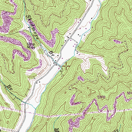 Topographic Map of Skidmore Branch, KY