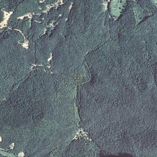 Aerial/Satellite Image of Smith Branch, KY