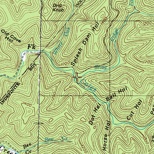 Topographic Map of Snag Ridge Fork, KY