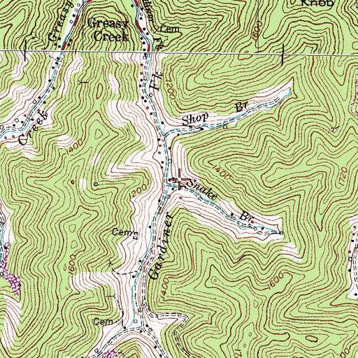 Topographic Map of Snake Branch, KY