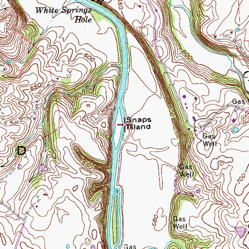 Topographic Map of Snaps Island, KY