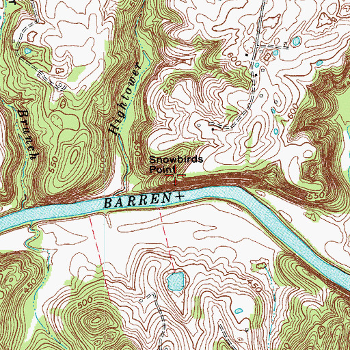 Topographic Map of Snowbirds Point, KY
