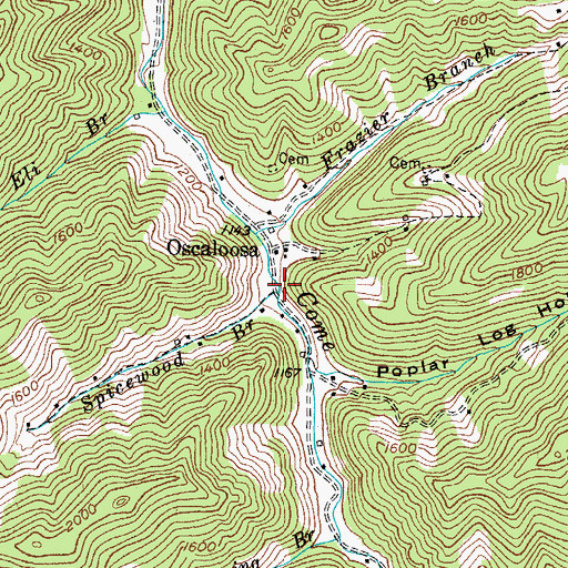 Topographic Map of Spicewood Branch, KY