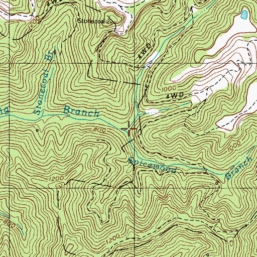 Topographic Map of Spicewood Branch, KY