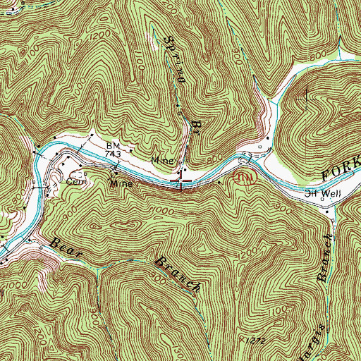 Topographic Map of Spring Branch, KY