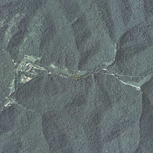 Aerial/Satellite Image of Spring Branch, KY