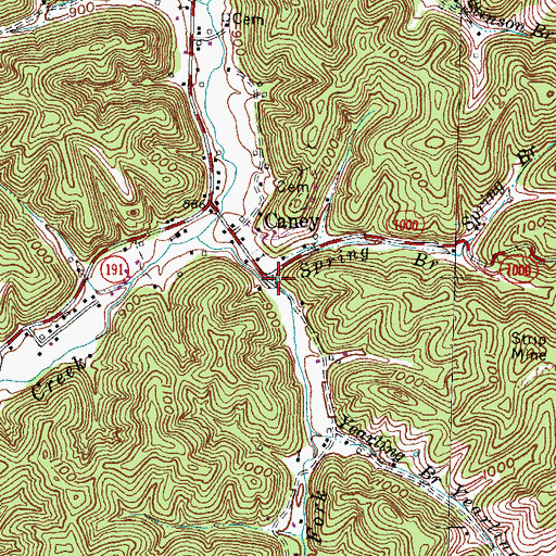 Topographic Map of Spring Branch, KY