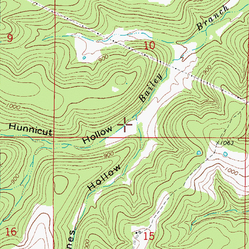 Topographic Map of Hunnicut Hollow, AR