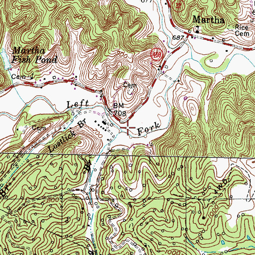 Topographic Map of Spring Branch, KY