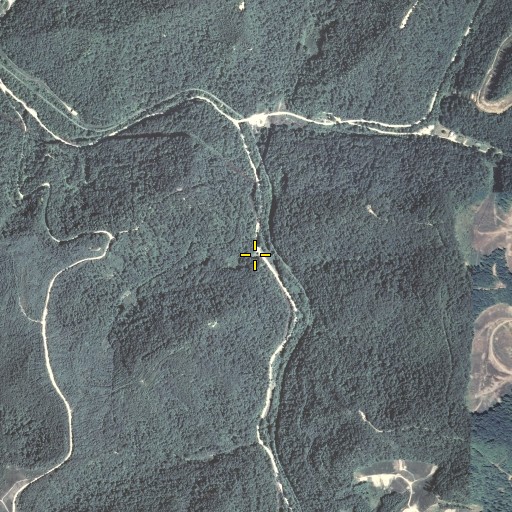 Aerial/Satellite Image of Spring Fork School, KY