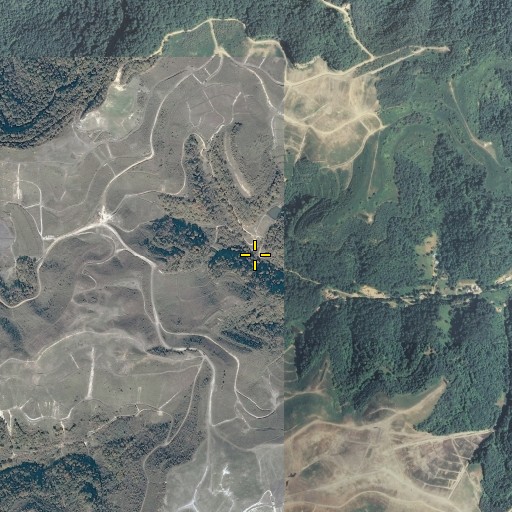 Aerial/Satellite Image of Sprout Branch, KY