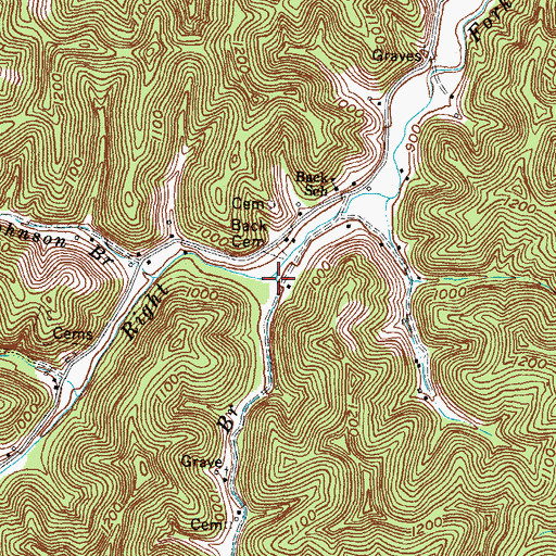 Topographic Map of Spruce Branch, KY