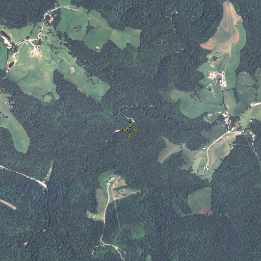 Aerial/Satellite Image of Spruce Branch, KY