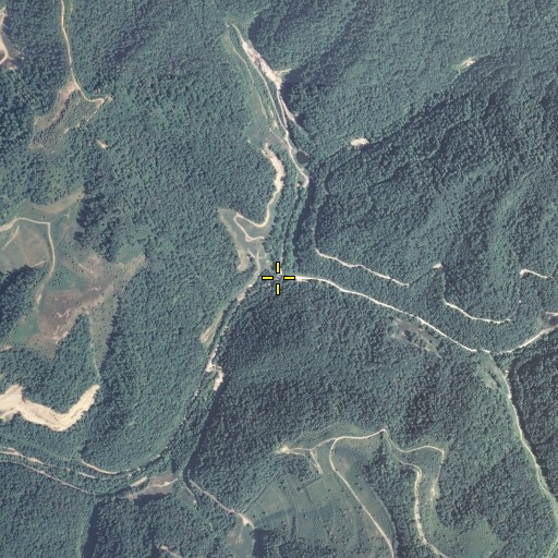 Aerial/Satellite Image of Spruce Fork, KY