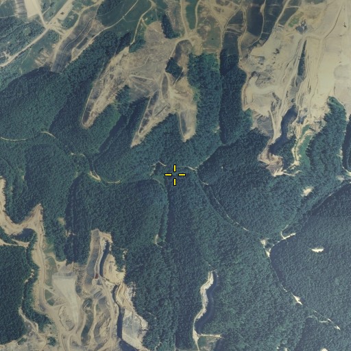 Aerial/Satellite Image of Squire Branch, KY