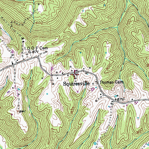 Topographic Map of Squiresville, KY