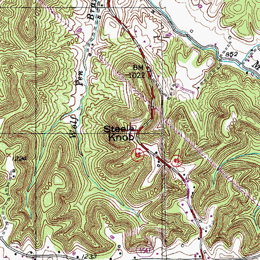 Topographic Map of Steele Knob, KY