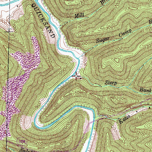Topographic Map of Steep Bank Branch, KY