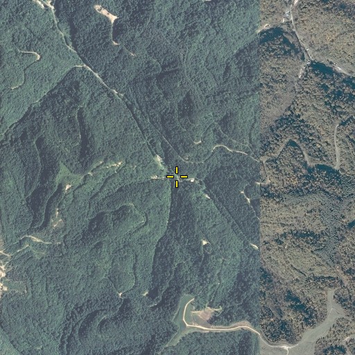 Aerial/Satellite Image of Steward Fork, KY