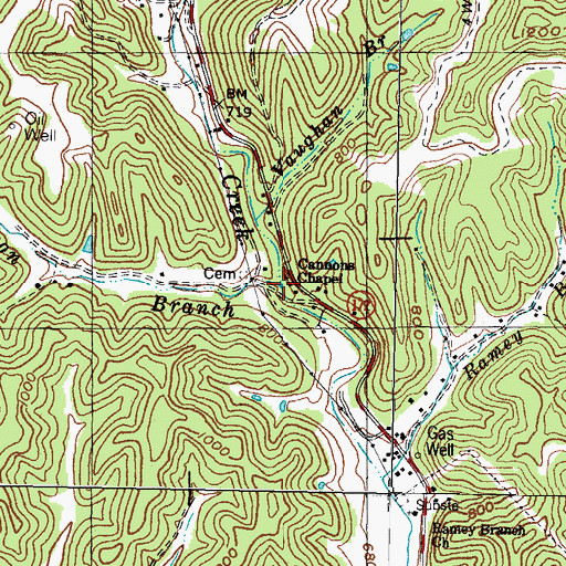 Topographic Map of Sturgeon Branch, KY