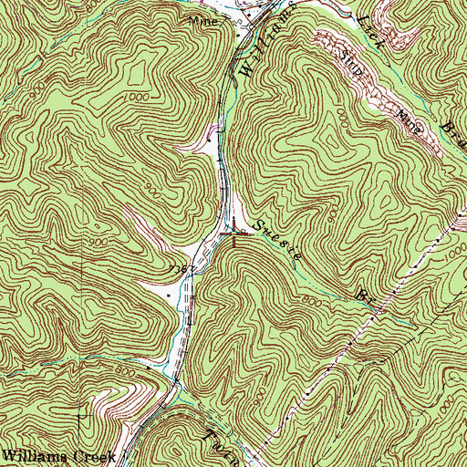 Topographic Map of Suesie Branch, KY