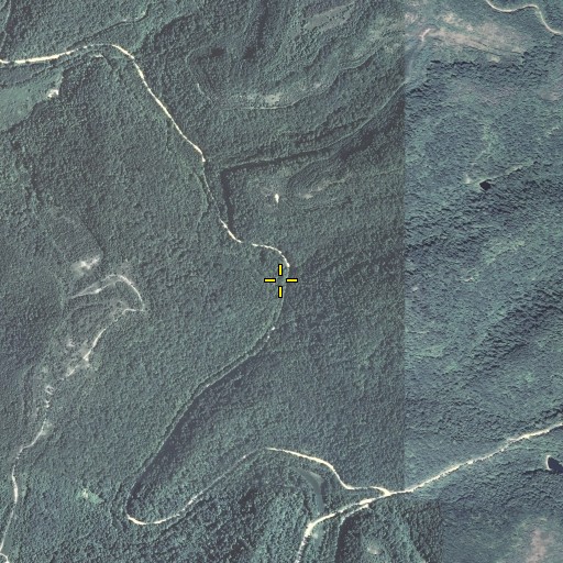 Aerial/Satellite Image of Sugar Camp Branch, KY