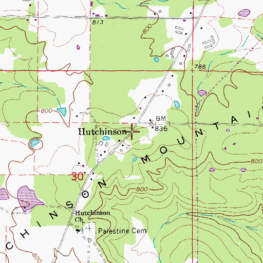 Topographic Map of Hutchinson, AR