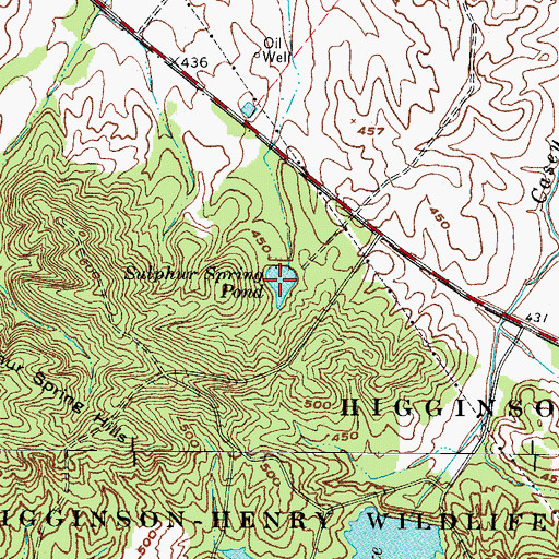 Topographic Map of Sulphur Spring Pond, KY