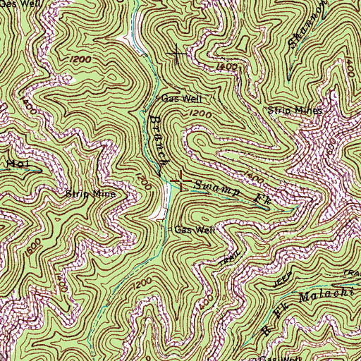 Topographic Map of Swamp Fork, KY