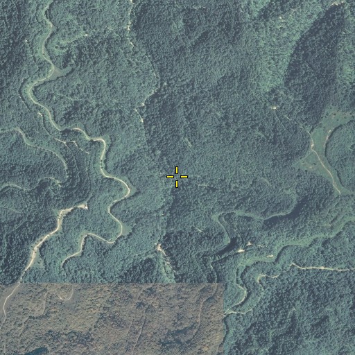 Aerial/Satellite Image of Swamp Fork, KY