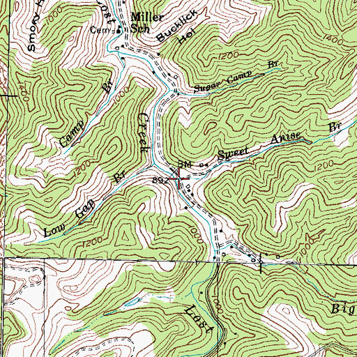 Topographic Map of Sweet Anise Branch, KY