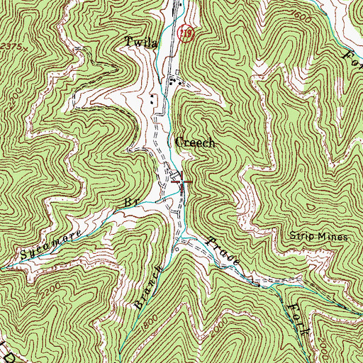 Topographic Map of Sycamore Branch, KY