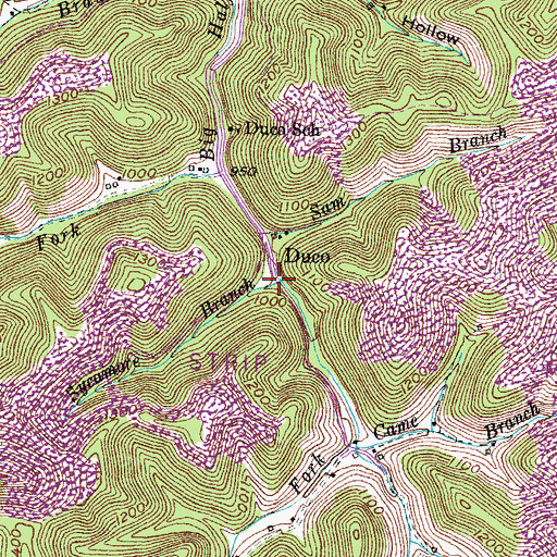 Topographic Map of Sycamore Branch, KY