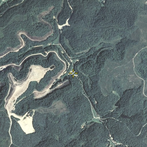 Aerial/Satellite Image of Sycamore Branch, KY