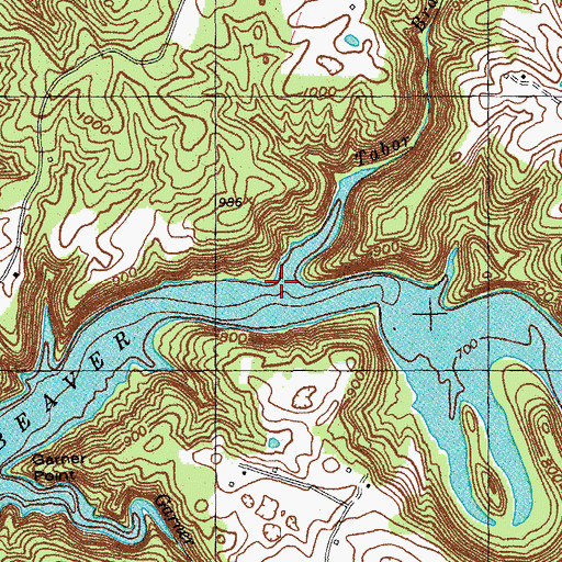 Topographic Map of Tabor Branch, KY