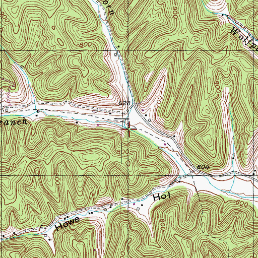 Topographic Map of Tarkiln Branch, KY