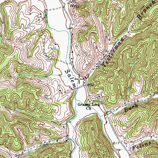 Topographic Map of Testerman Branch, KY