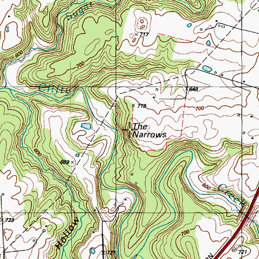 Topographic Map of The Narrows, KY