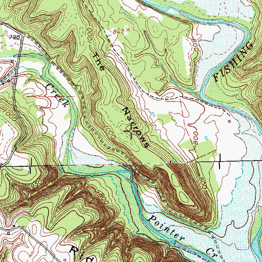 Topographic Map of The Narrows, KY