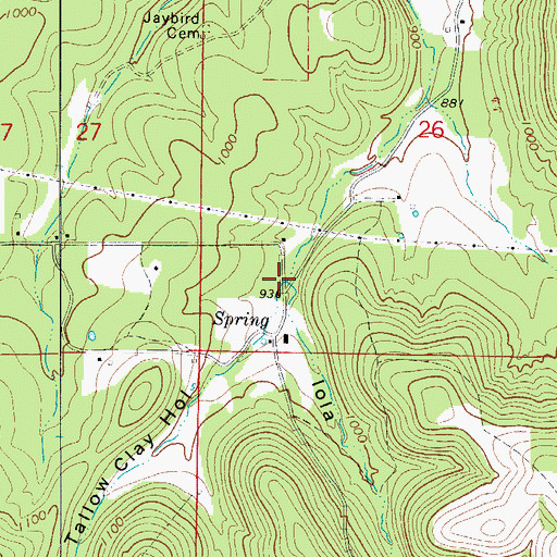 Topographic Map of Iola Hollow, AR