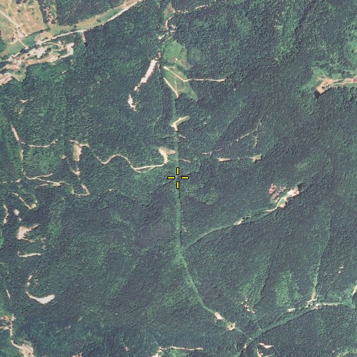 Aerial/Satellite Image of Tick Lick Creek, KY