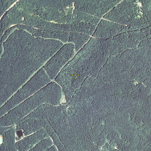 Aerial/Satellite Image of Tioga Spring, KY